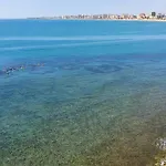 Sobre Olas Del Mar